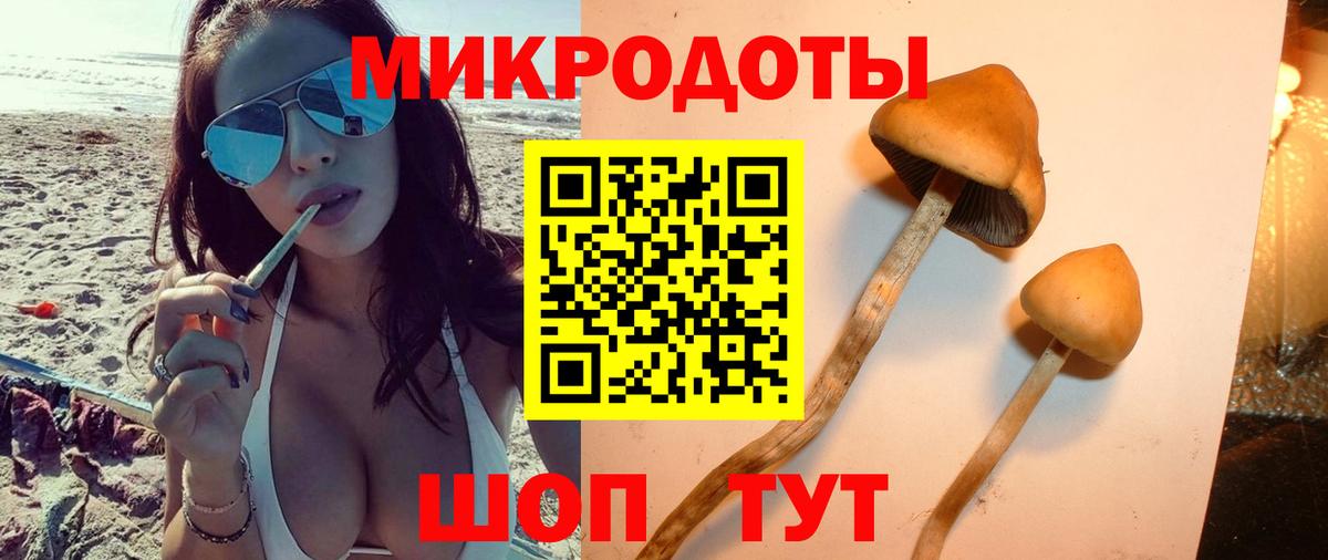 Псилоцибиновые грибы ЛСД  Галлюциногенные грибы прущие грибы  Тара  Вход с VPN 
